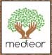 Medieor Logo